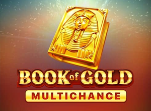 Book of Gold Multichance